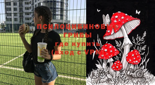 ГАЛЛЮЦИНОГЕННЫЕ ГРИБЫ Александровское